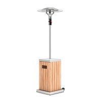 Газовий обігрівач Wood
